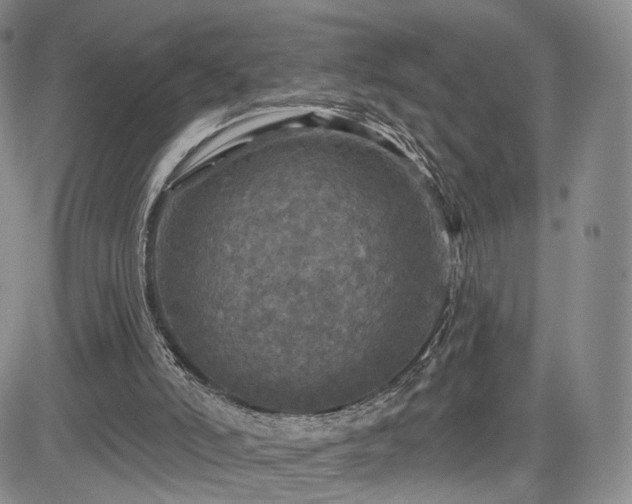 X0000084560006200703021435