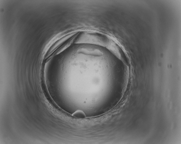 X0000084560007200703021435