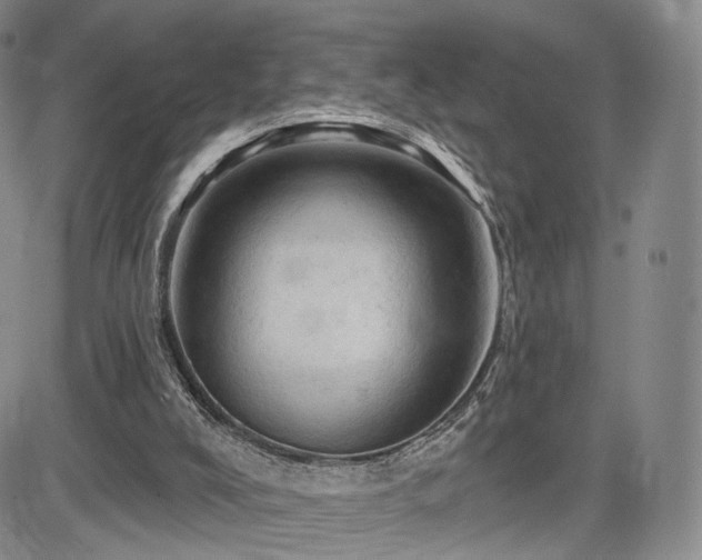 X0000084560008200703021435