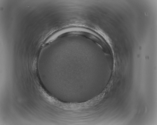 X0000084560009200703021435