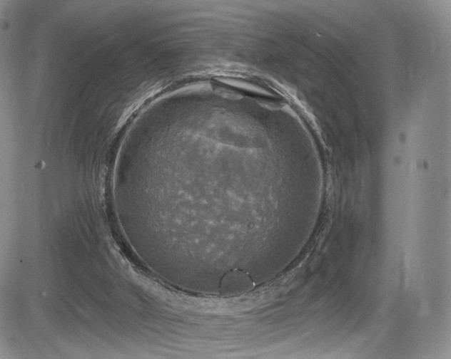 X0000084560010200703021435