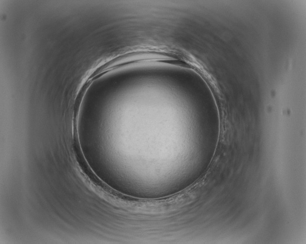 X0000084560011200703021435