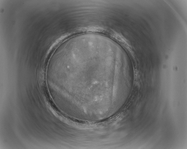 X0000084560012200703021435