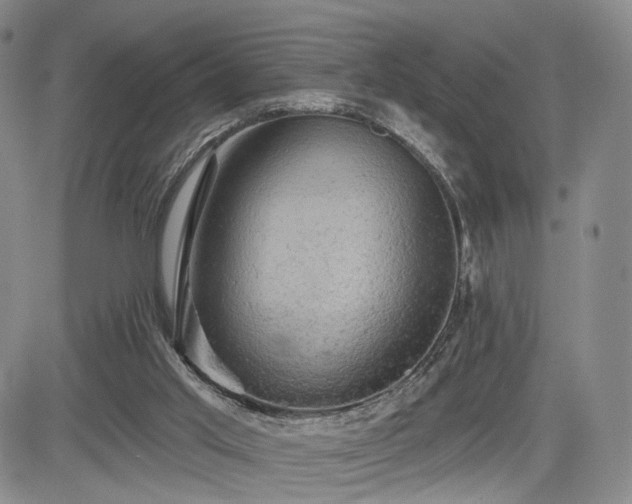 X0000084560013200703021435