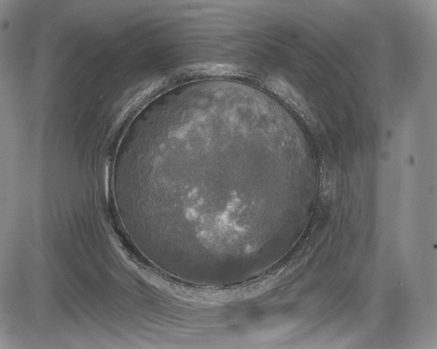 X0000084560014200703021435