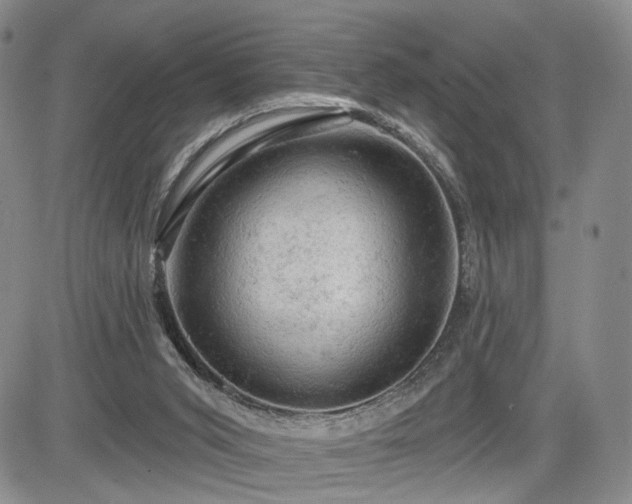 X0000084560015200703021435