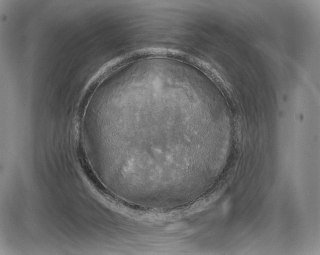 X0000084560016200703021435