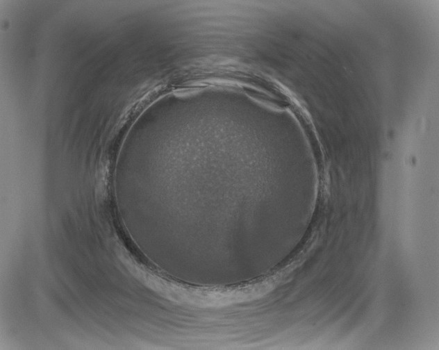 X0000084560018200703021435