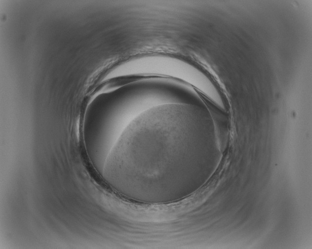 X0000084560019200703021435