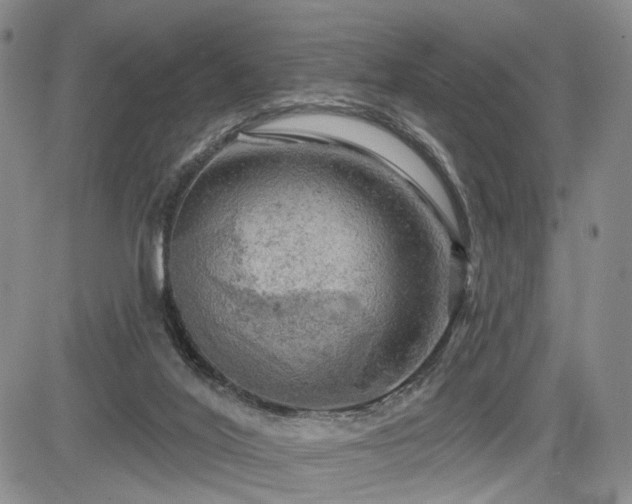 X0000084560020200703021435