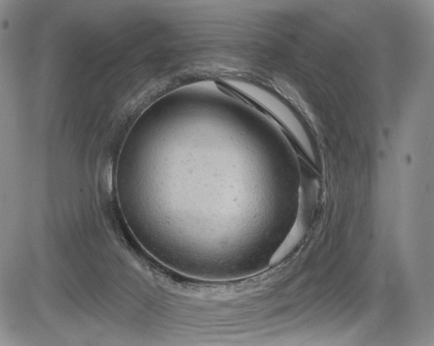 X0000084560021200703021435