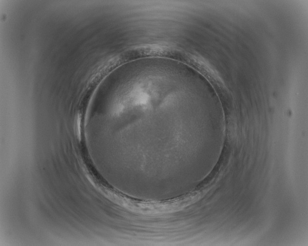 X0000084560022200703021435