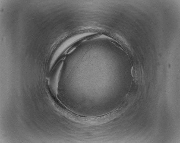 X0000084560023200703021435