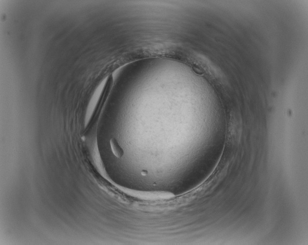 X0000084560025200703021435