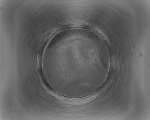 X0000084560026200703021435