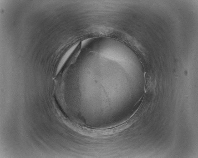 X0000084560027200703021435