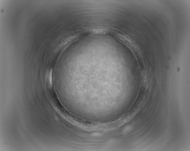 X0000084560028200703021435