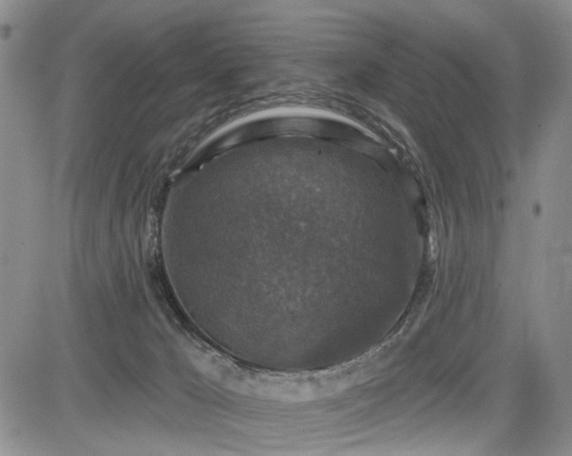 X0000084560029200703021435