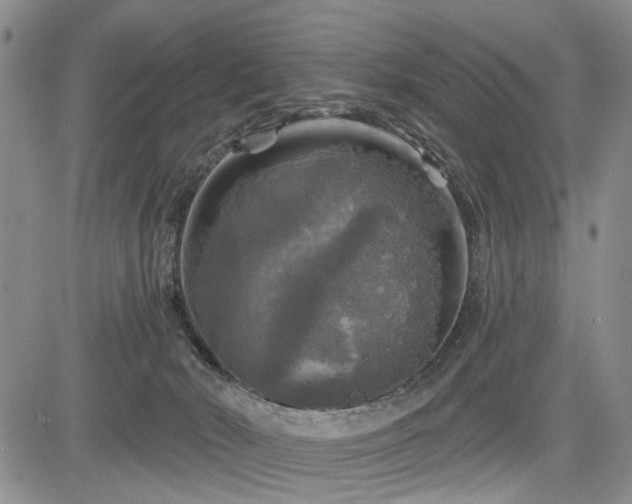 X0000084560030200703021435