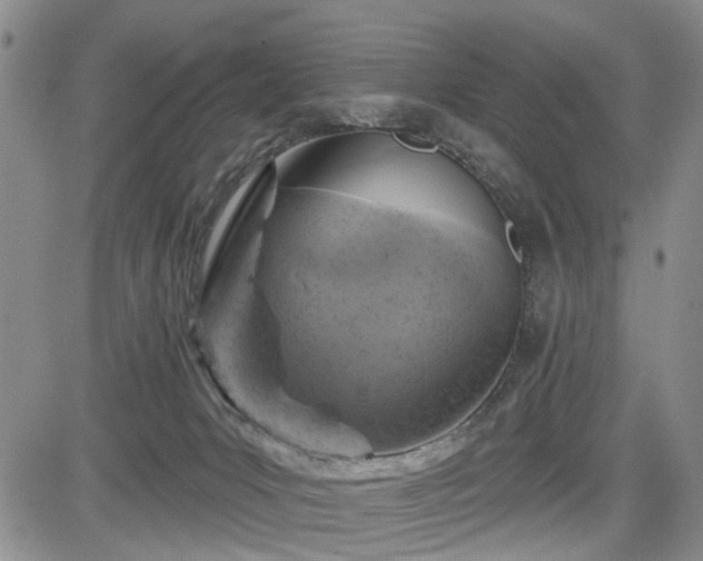 X0000084560031200703021435