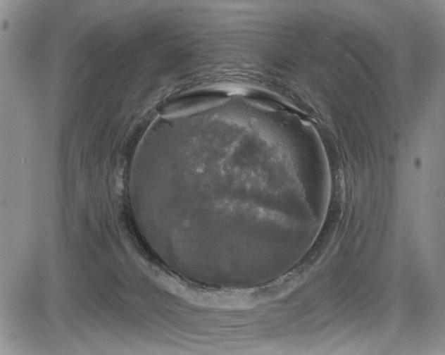 X0000084560032200703021435