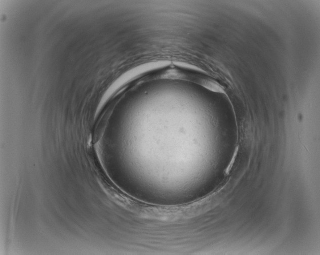 X0000084560033200703021435