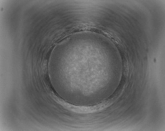 X0000084560034200703021435