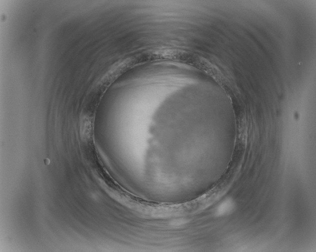 X0000084560036200703021435