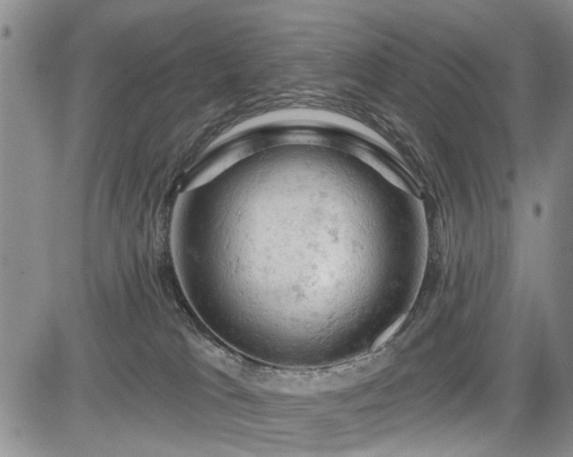 X0000084560037200703021435