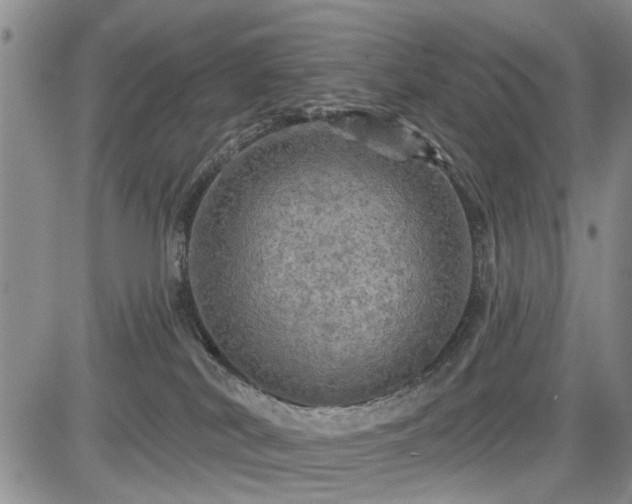 X0000084560038200703021435