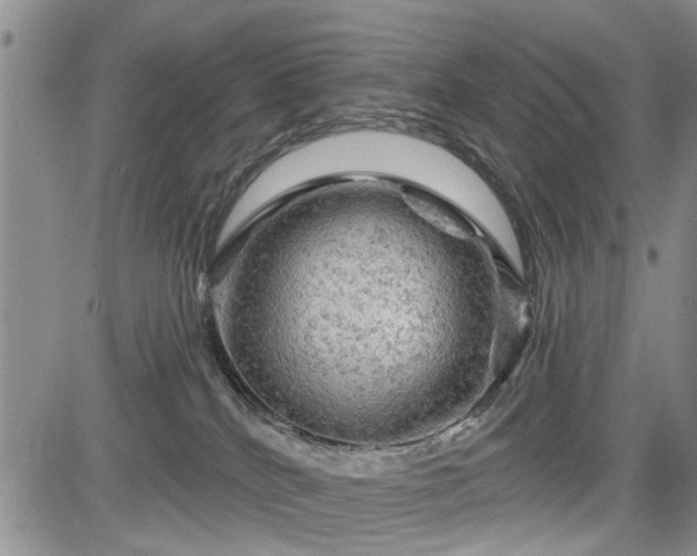 X0000084560040200703021435