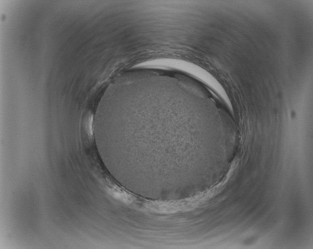 X0000084560041200703021435