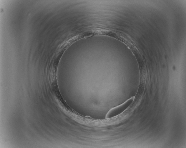 X0000084560043200703021435