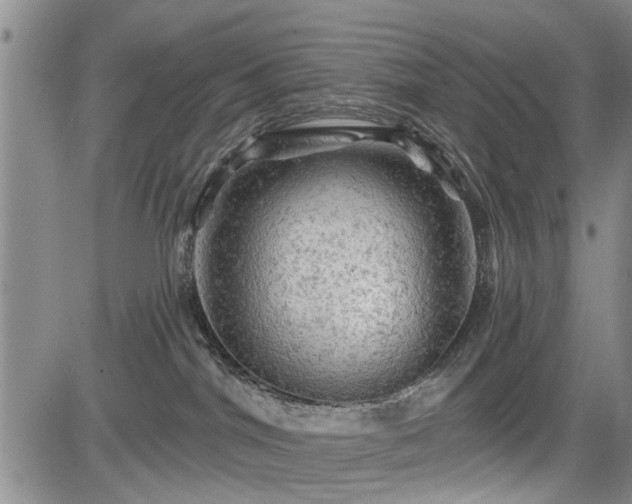 X0000084560044200703021435