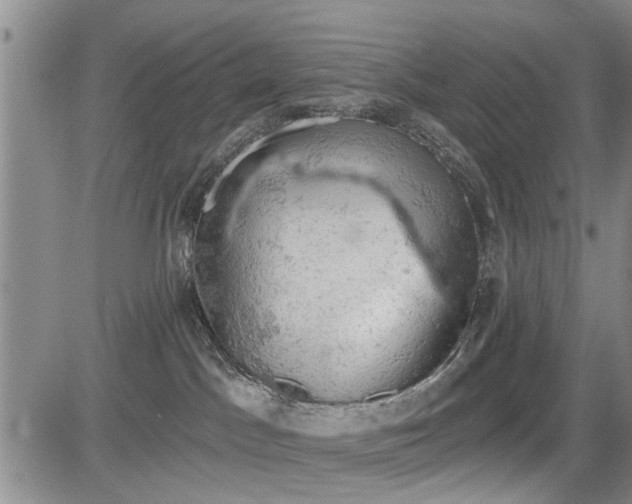 X0000084560045200703021435