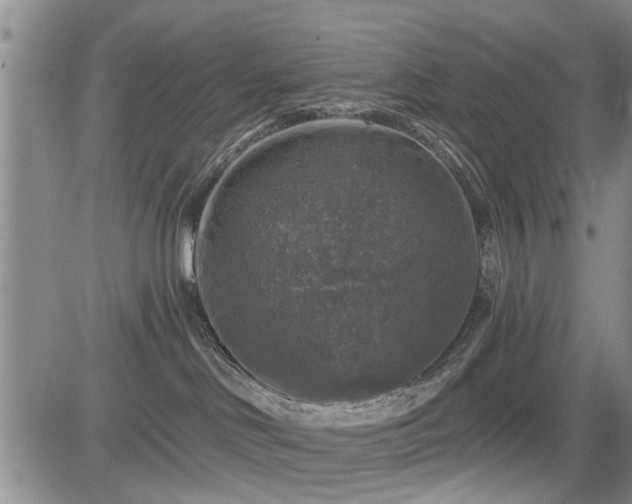 X0000084560046200703021435