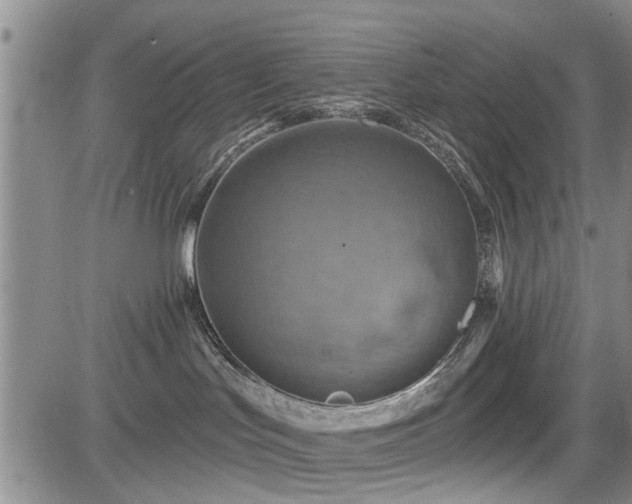 X0000084560047200703021435