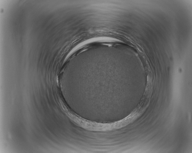 X0000084560048200703021435