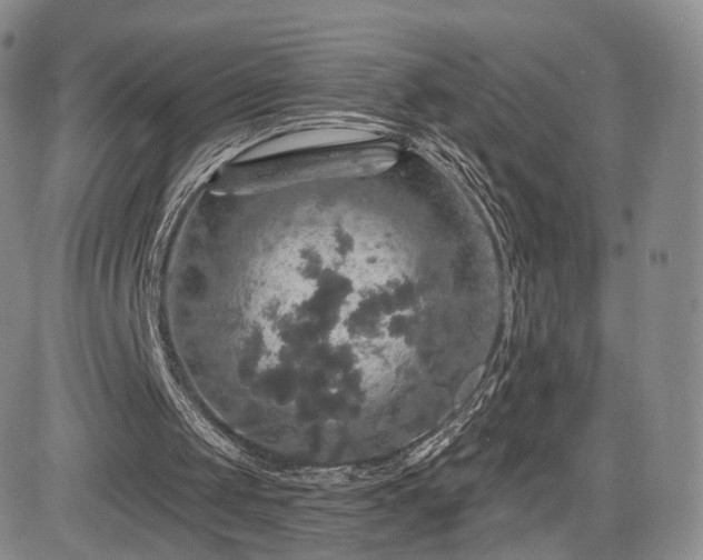 X0000084560049200703021434