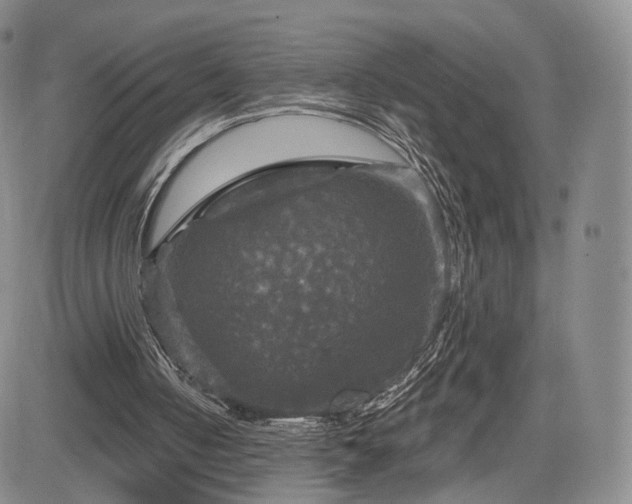 X0000084560050200703021434