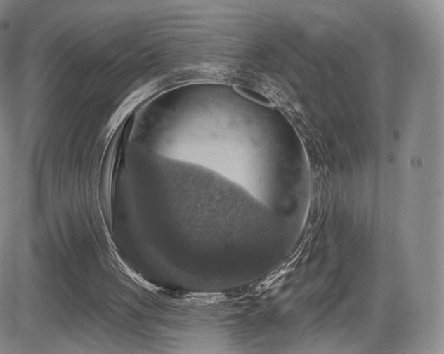 X0000084560051200703021434