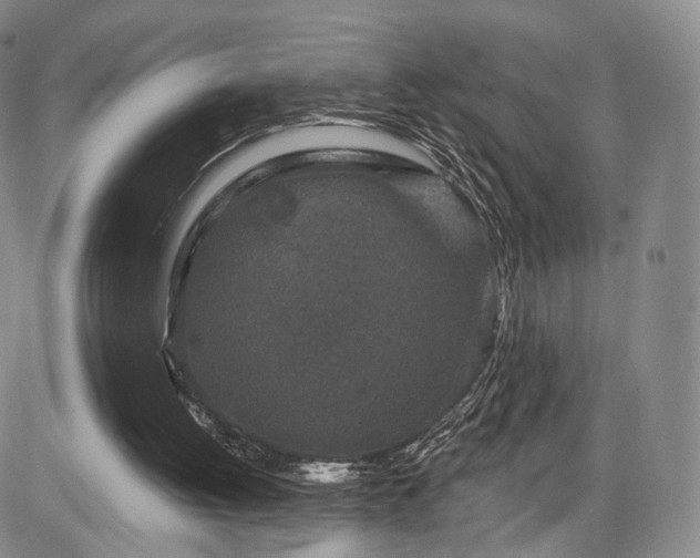 X0000084560052200703021434