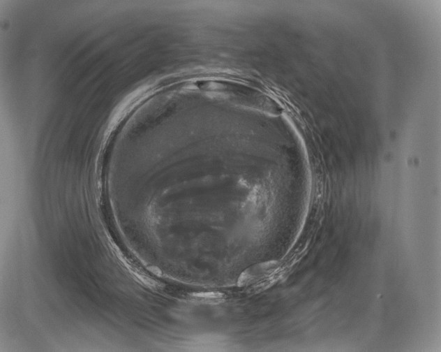 X0000084560053200703021434