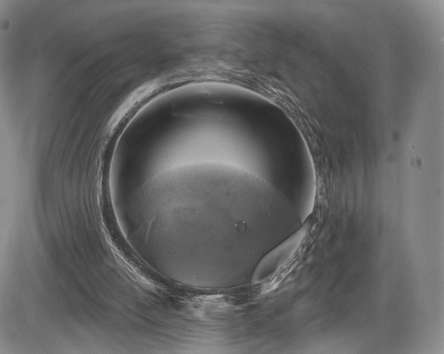 X0000084560054200703021434