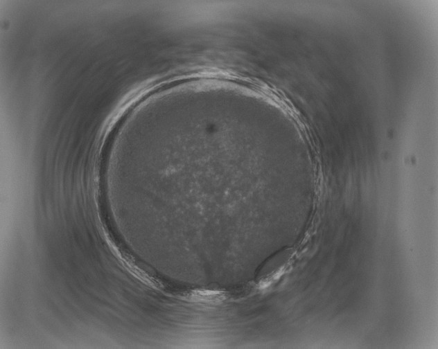 X0000084560055200703021434