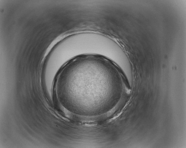 X0000084560056200703021434