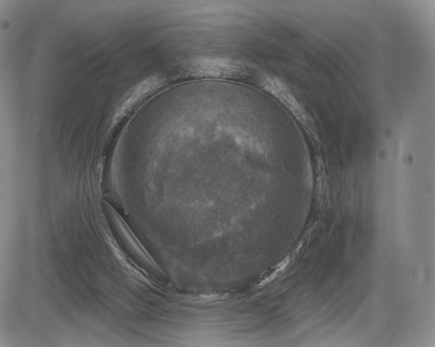 X0000084560058200703021434