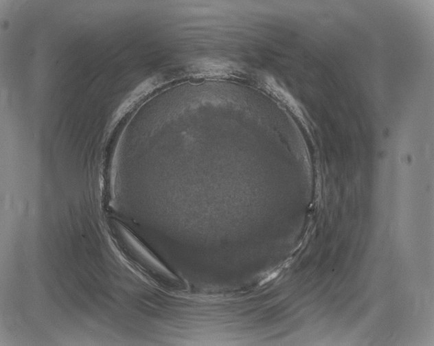 X0000084560059200703021434