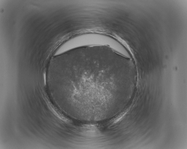 X0000084560061200703021434