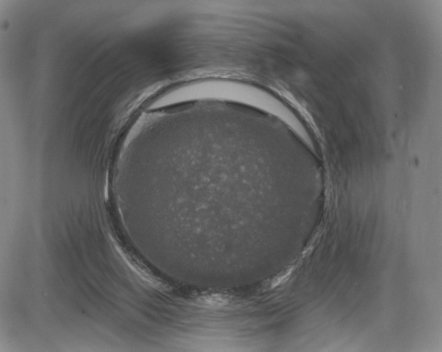 X0000084560062200703021434